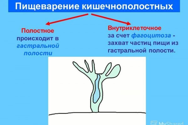 Восстановить аккаунт на кракене