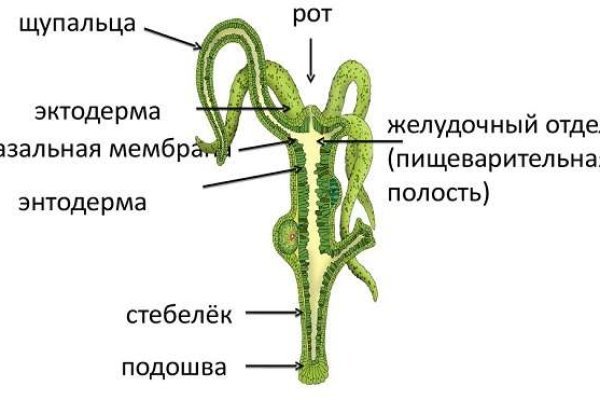 Kraken даркнет рынок